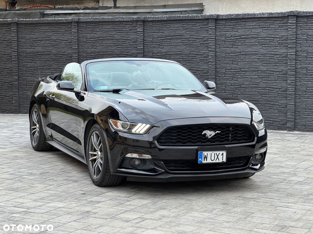 Ford Mustang Cabrio 2.3 Eco Boost - 17