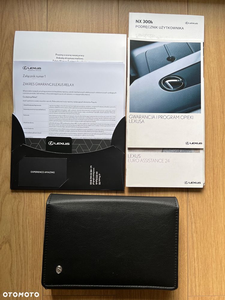 Lexus NX - 10