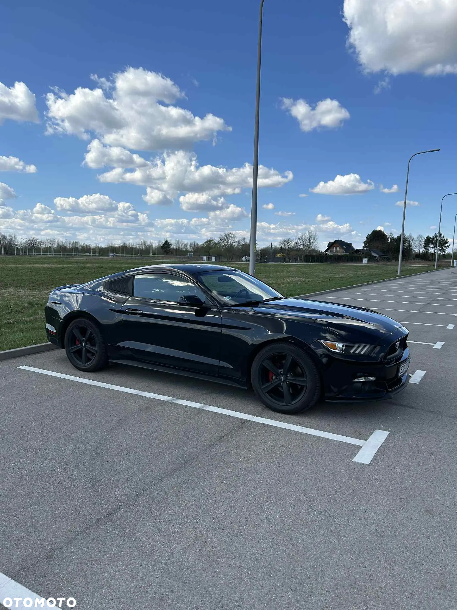 Ford Mustang 3.7 V6 - 2