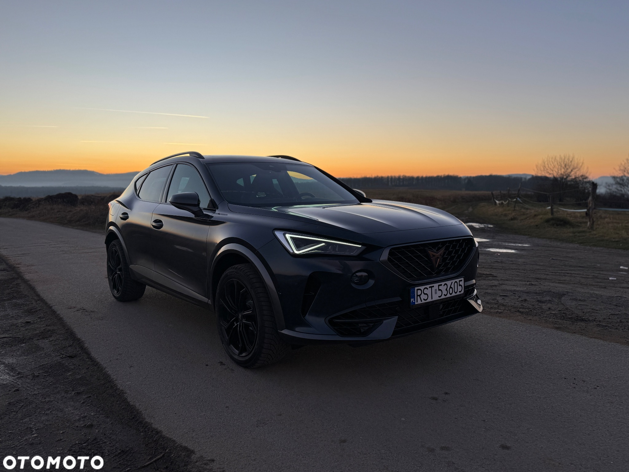Cupra Formentor 2.0 TSI 4Drive VZ DSG - 8