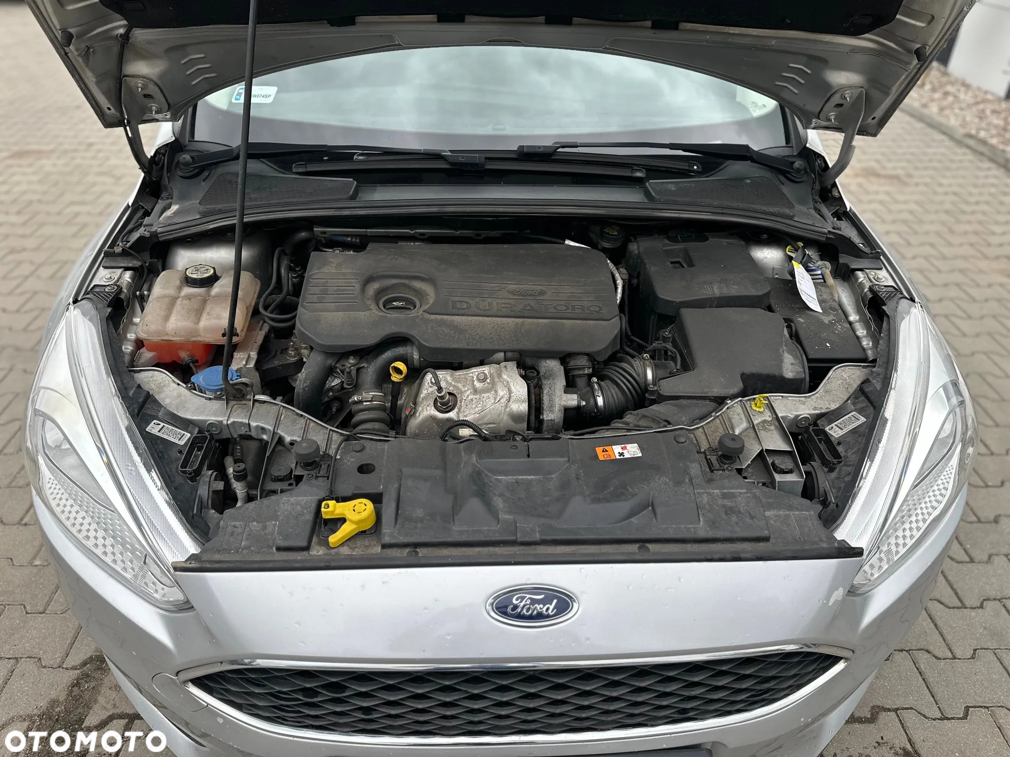 Ford Focus - 17