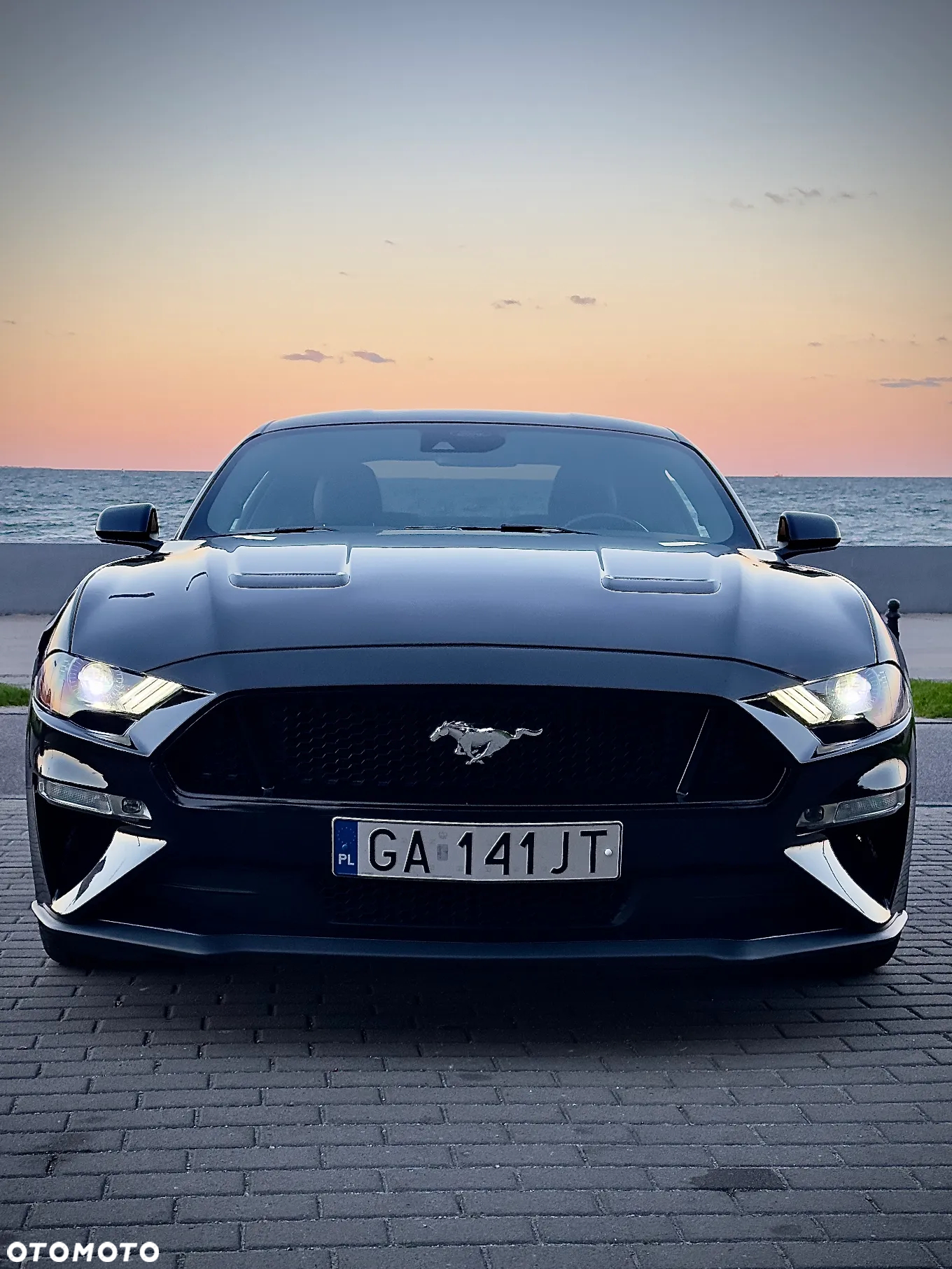 Ford Mustang Fastback 5.0 Ti-VCT V8 Dark Horse - 13
