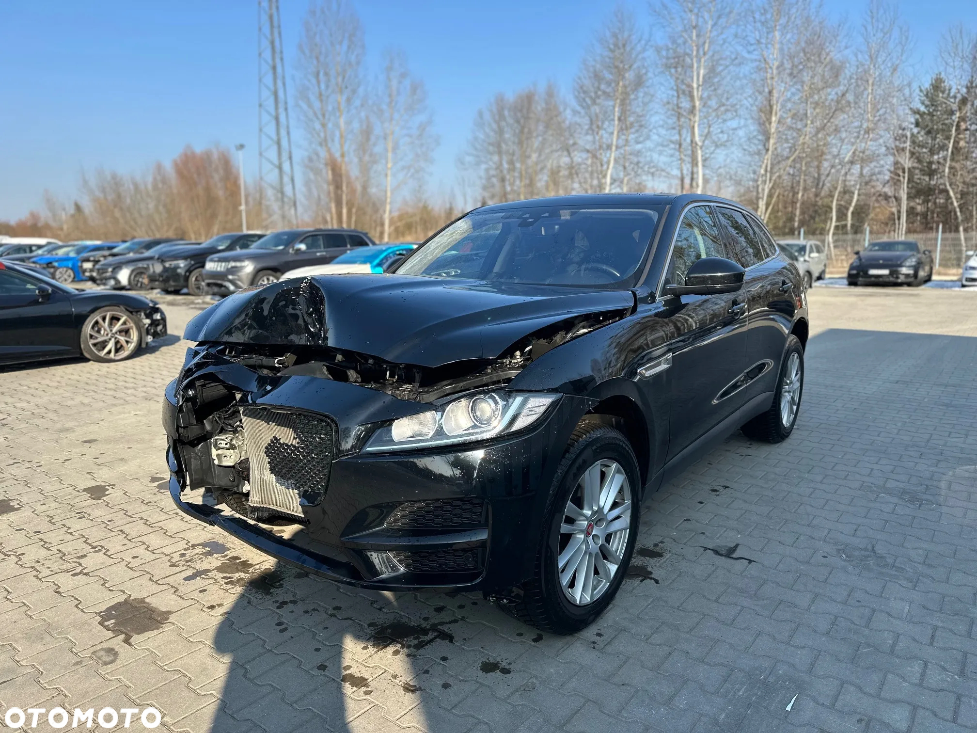 Jaguar F-Pace - 3