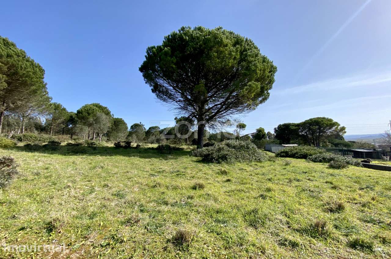 TERRENO | URBANIZÁVEL | VILA VERDE - Grande imagem: 5/23