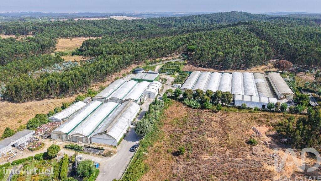 Loja / Estabelecimento Comercial em Ramalhal de 8000,00 m2 - Grande imagem: 4/29