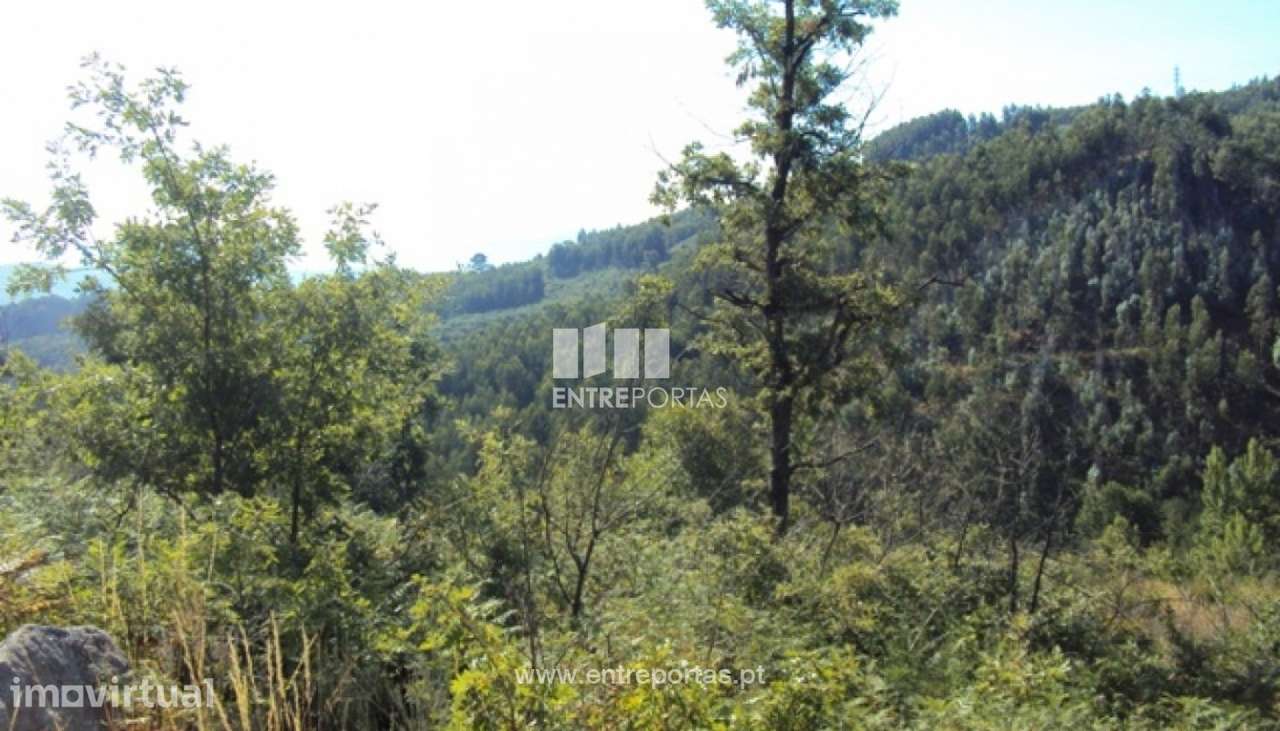 Venda Terreno, Paredes de Viadores, Marco de Canaveses - Grande imagem: 4/20