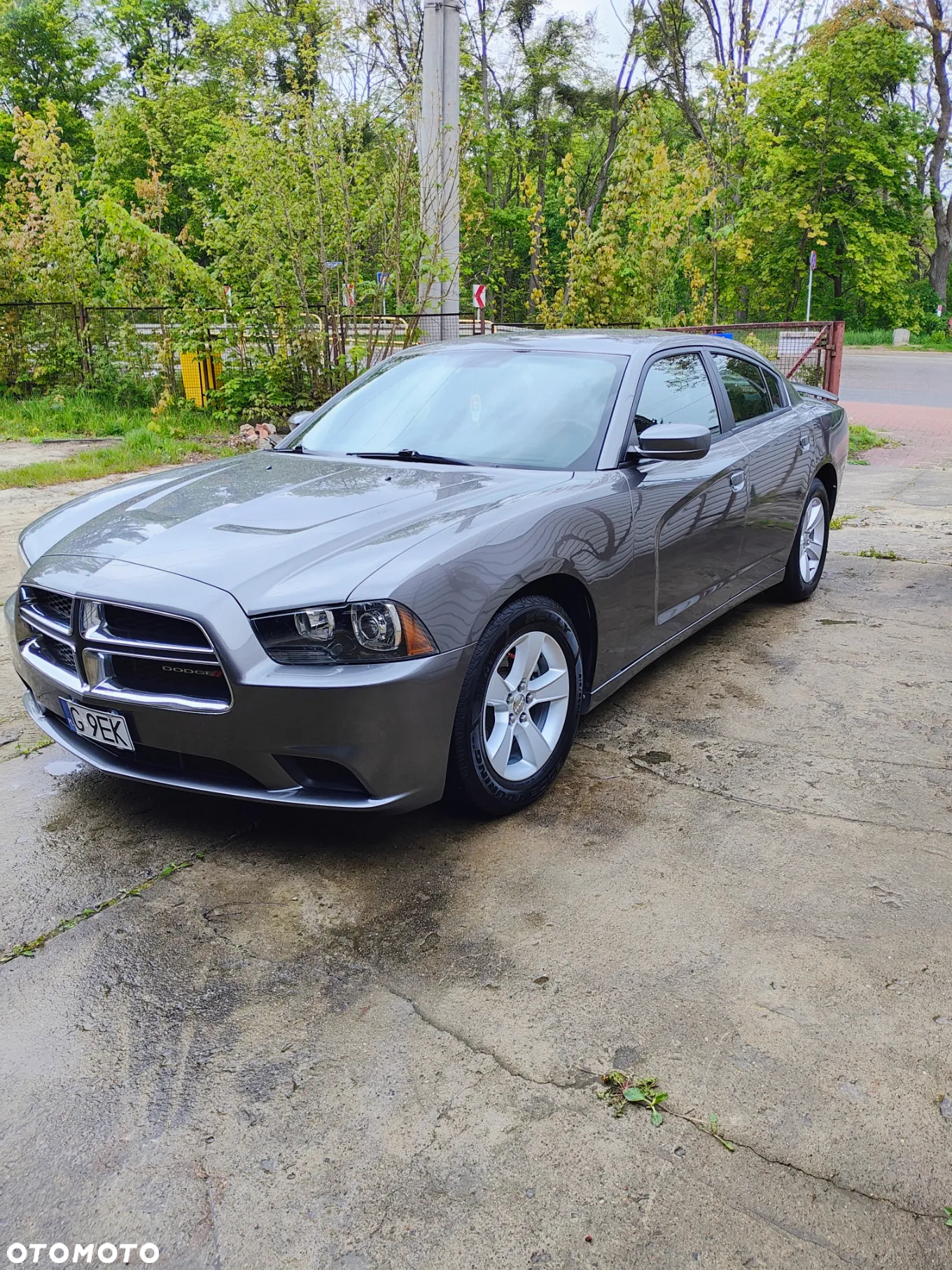 Dodge Charger Automatik Rally - 2