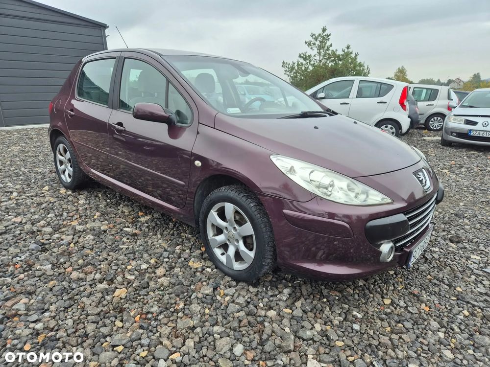 Peugeot 307 1.6 Premium - 5