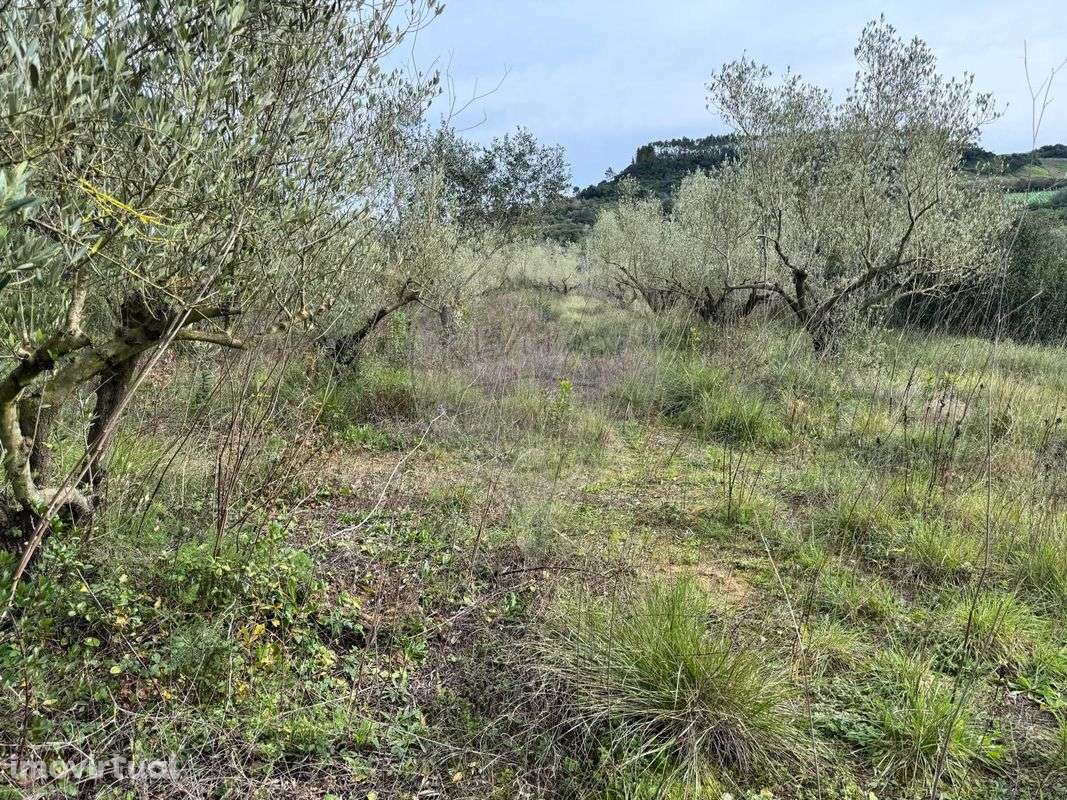 Terreno  para venda - Grande imagem: 5/5