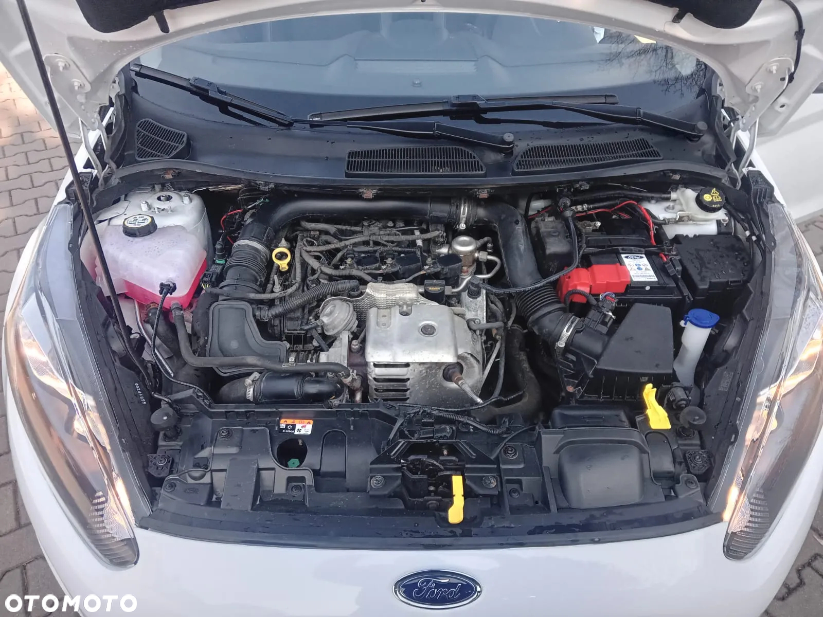 Ford Fiesta 1.0 EcoBoost Gold X - 16