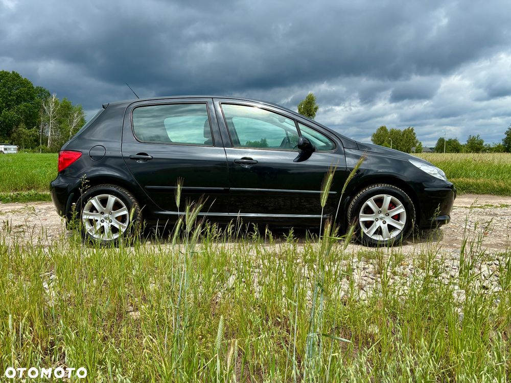 Peugeot 307 - 5