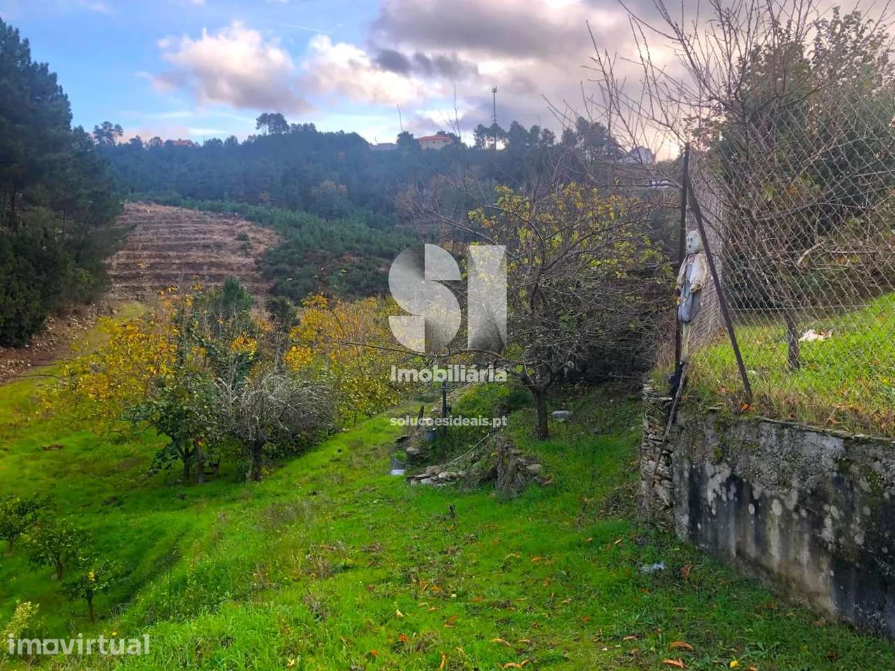Terreno em Sabrosa - Grande imagem: 5/34