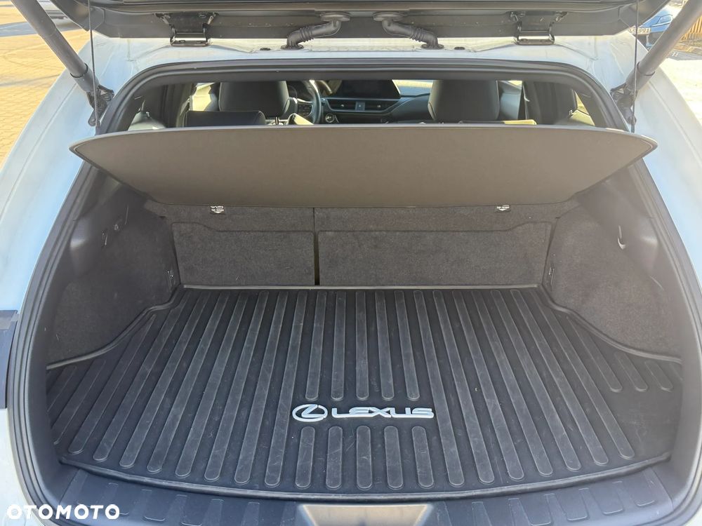 Lexus UX 250h GPF F Sport Design 2WD - 23