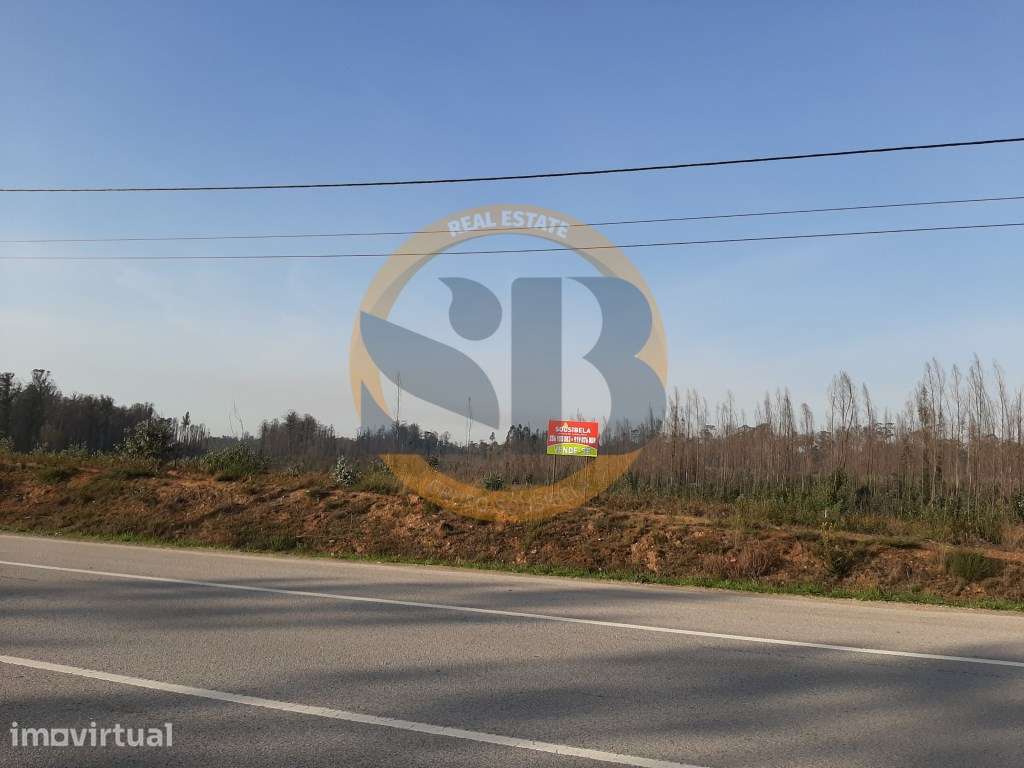 Excelente Terreno para Investimento Industrial - Grande imagem: 2/8