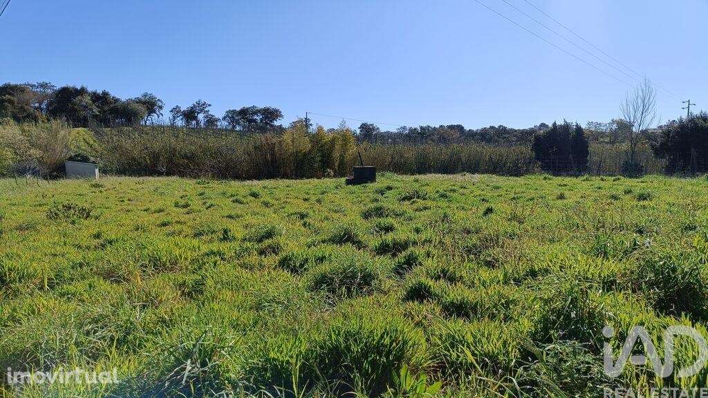 Terreno em Cela de 1585,00 m2 - Grande imagem: 3/22