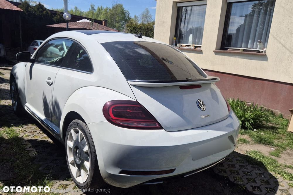 Volkswagen Beetle - 5