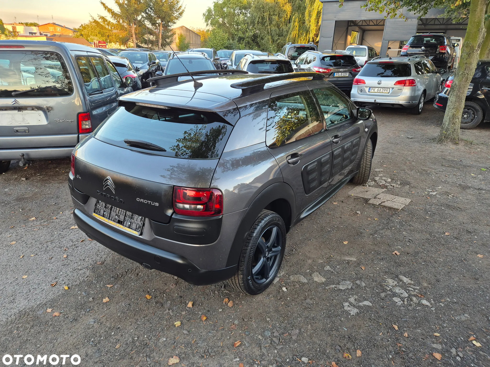Citroën C4 Cactus BlueHDi 100 Stop&Start Feel - 5