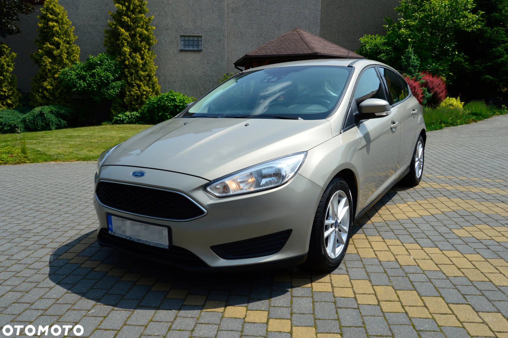 Ford Focus 1.0 EcoBoost Titanium ASS - 2