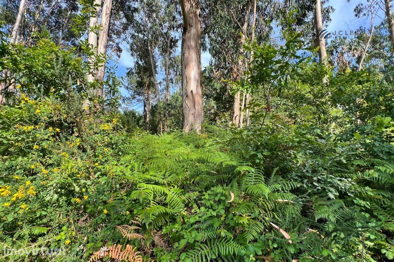 Terreno Rústico com 4640m2 em Lamoso, Paços de Ferreira - Grande imagem: 4/14