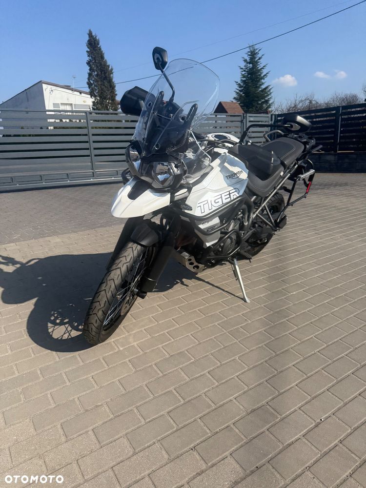 Triumph Tiger - 17