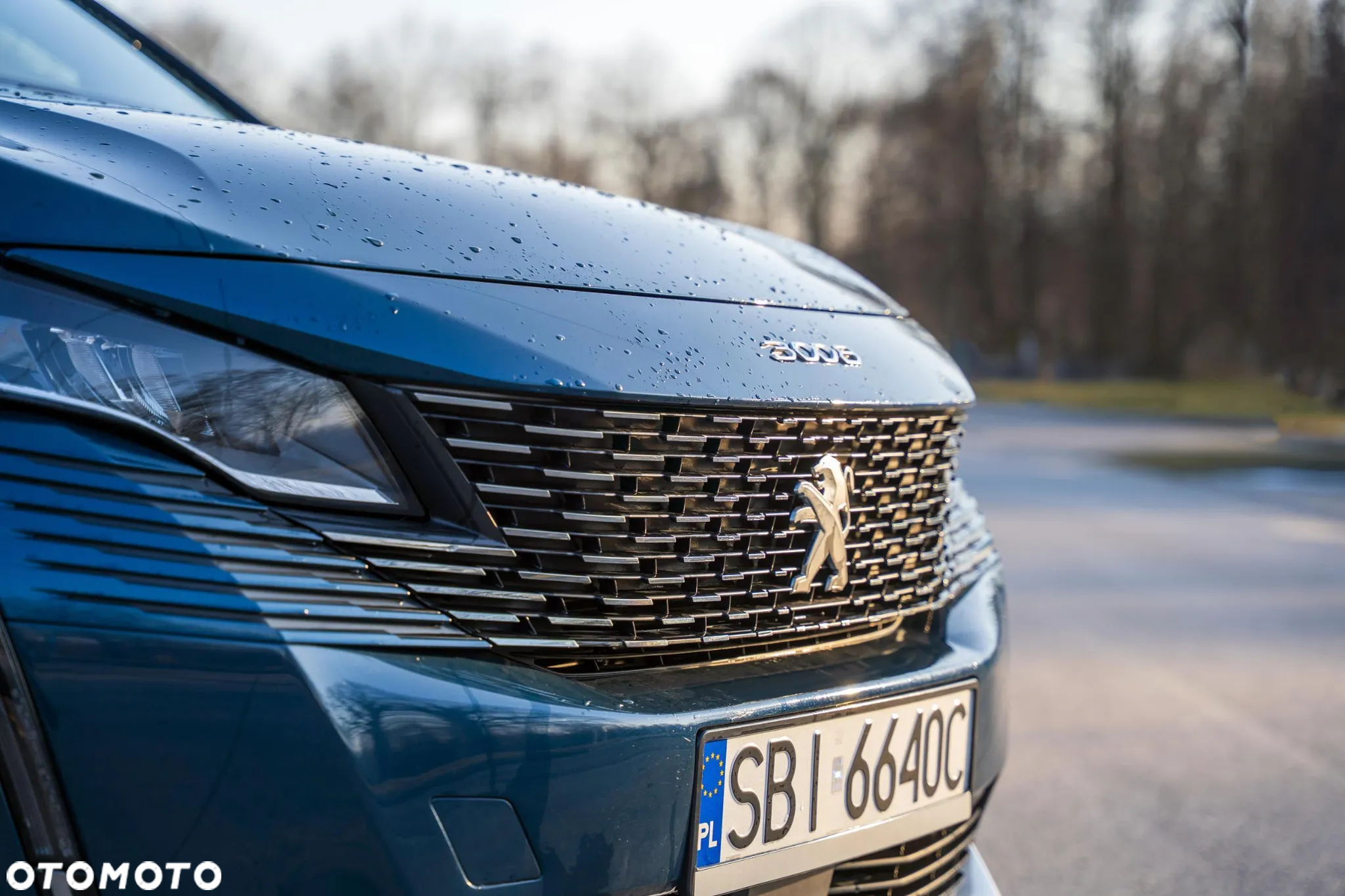 Peugeot 3008 - 15