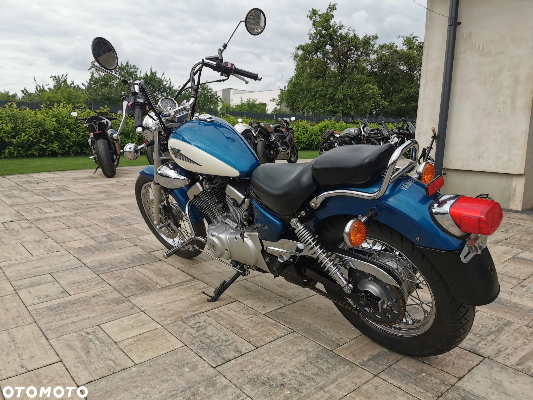 Yamaha Virago - 6