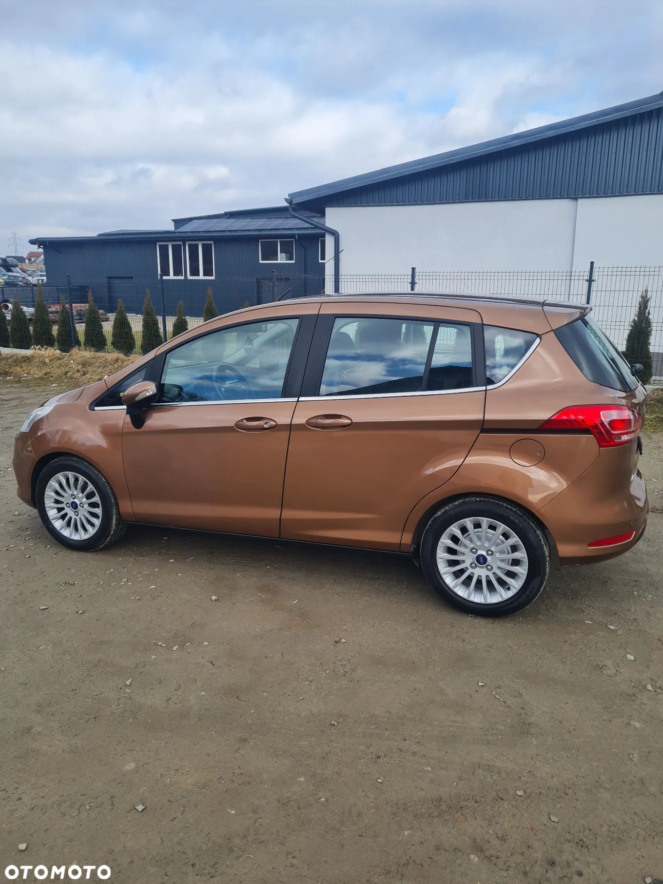 Ford B-MAX - 1