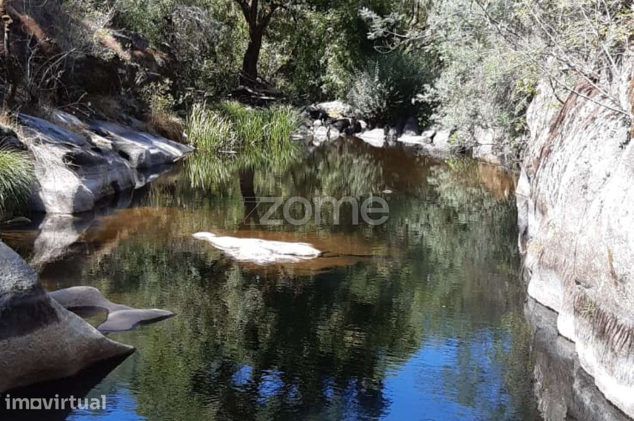 Quinta junto ao rio Seia - Grande imagem: 5/17
