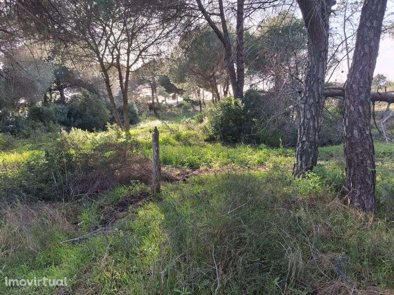 Terreno Rústico em Santa Bárbara De Nexe, com vista mar. . - Grande imagem: 4/7