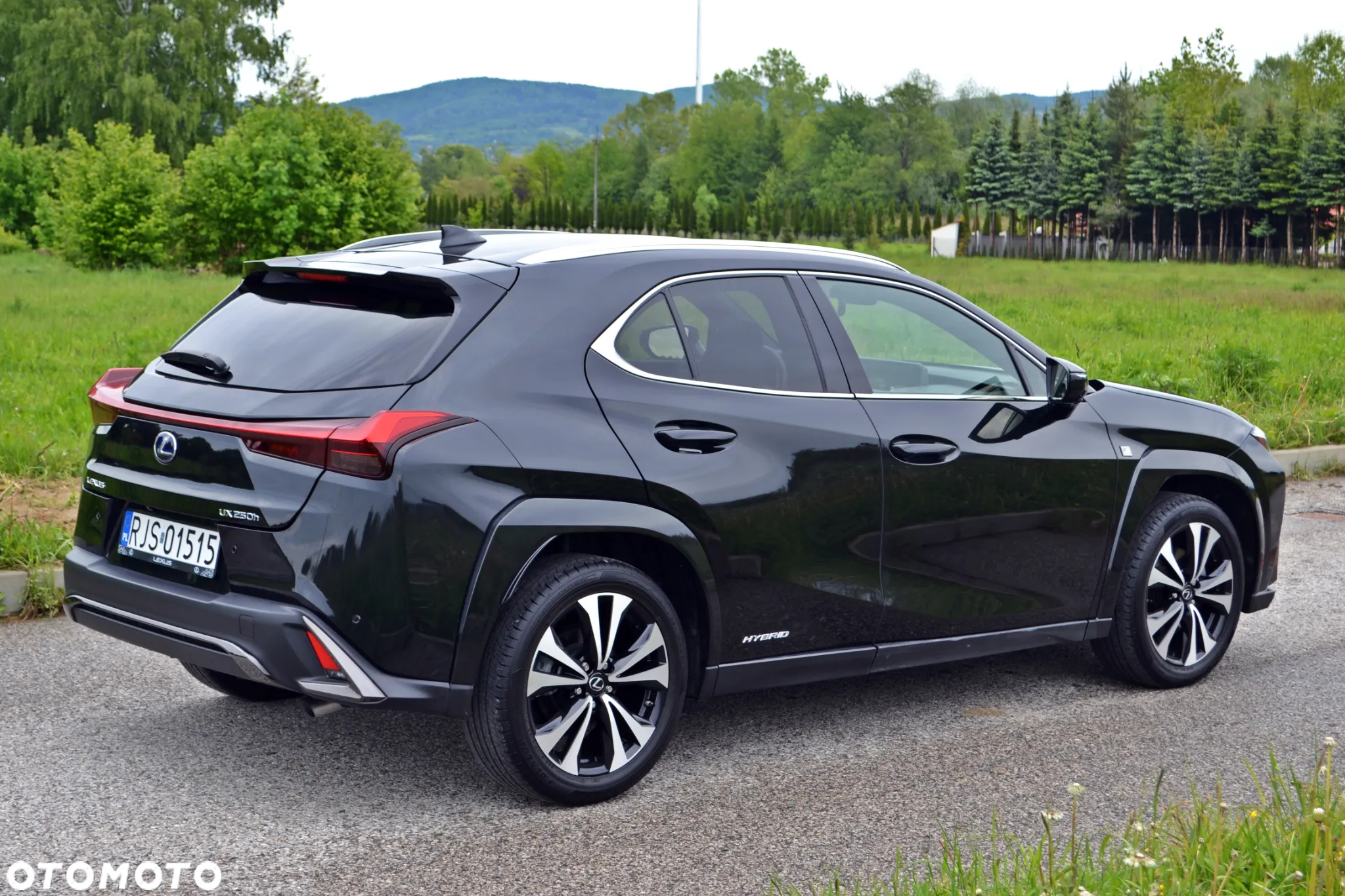Lexus UX 250h F Sport 2WD - 2