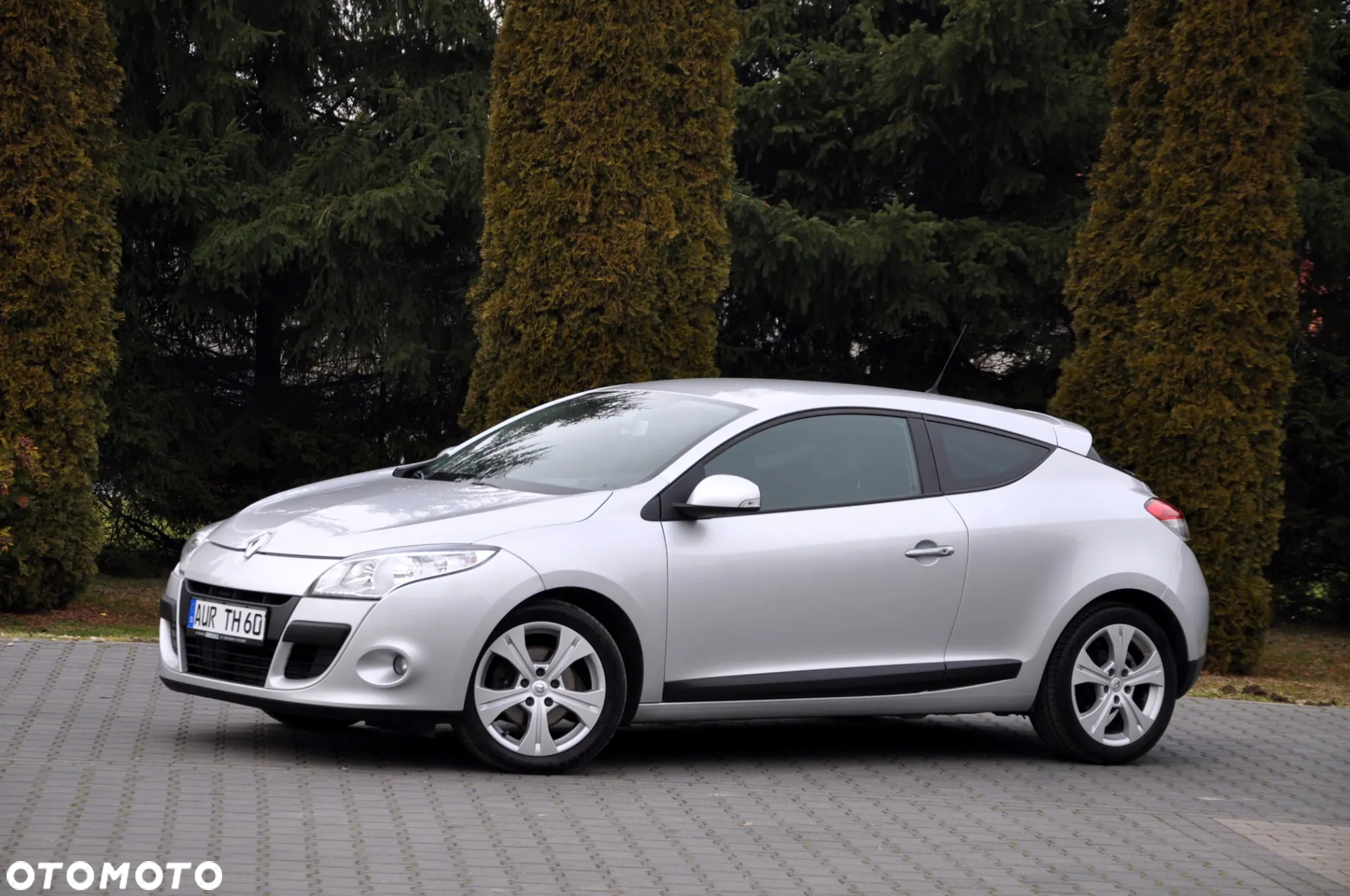Renault Megane TCe 180 Coupe Dynamique - 11