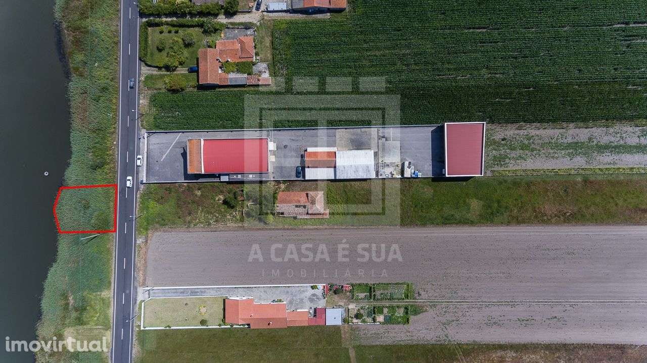 Terreno rústico com praia privativa na Ria de Aveiro - Grande imagem: 4/12