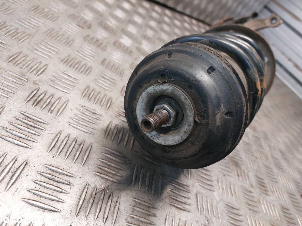 AMORTYZATOR SPRĘŻYNA ZWROTNICA PRAWY PRZÓD FIAT GRANDE PUNTO I 51796542 - 5