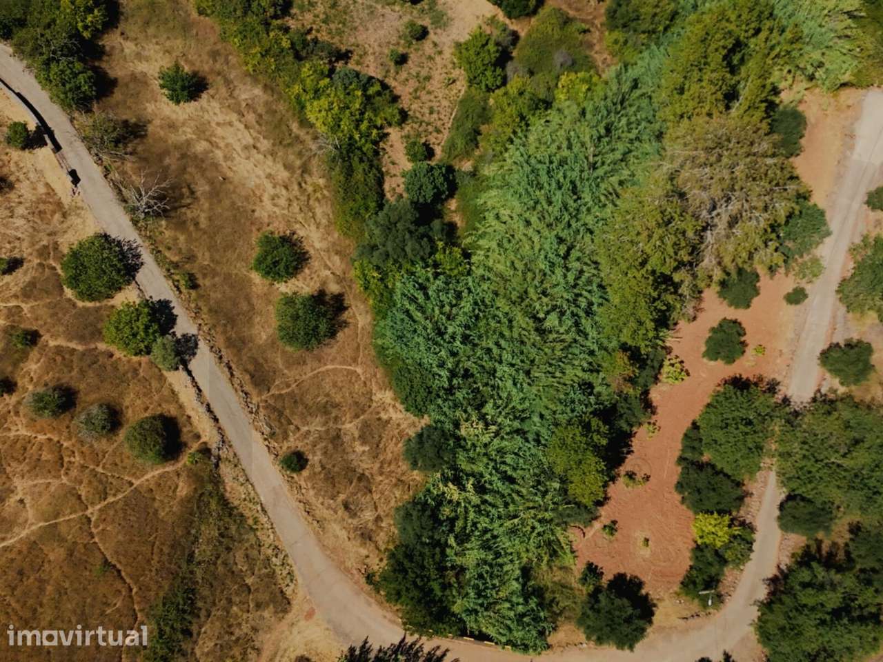 Terreno Rustico 2680m2 | Pontes | Salir | Eletricidade e água a porta - Grande imagem: 3/16