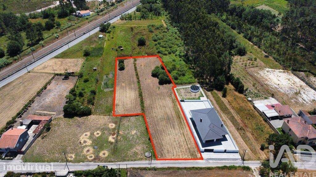 Terreno Agrícola em Oiã - Grande imagem: 3/10
