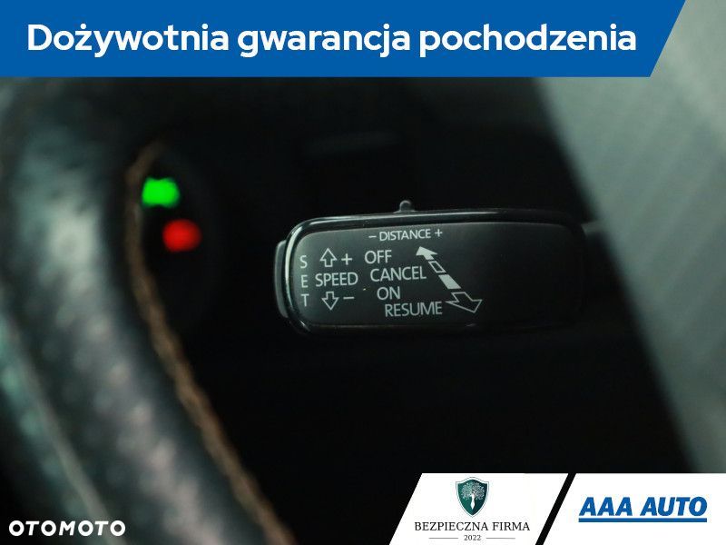 Cupra Ateca - 21