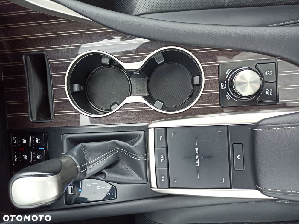 Lexus RX - 19