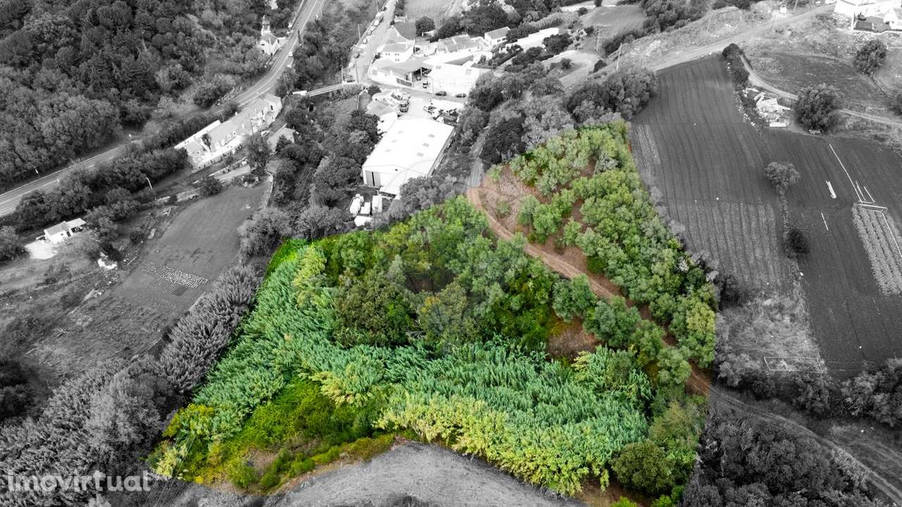 Terreno  para venda - Grande imagem: 4/6