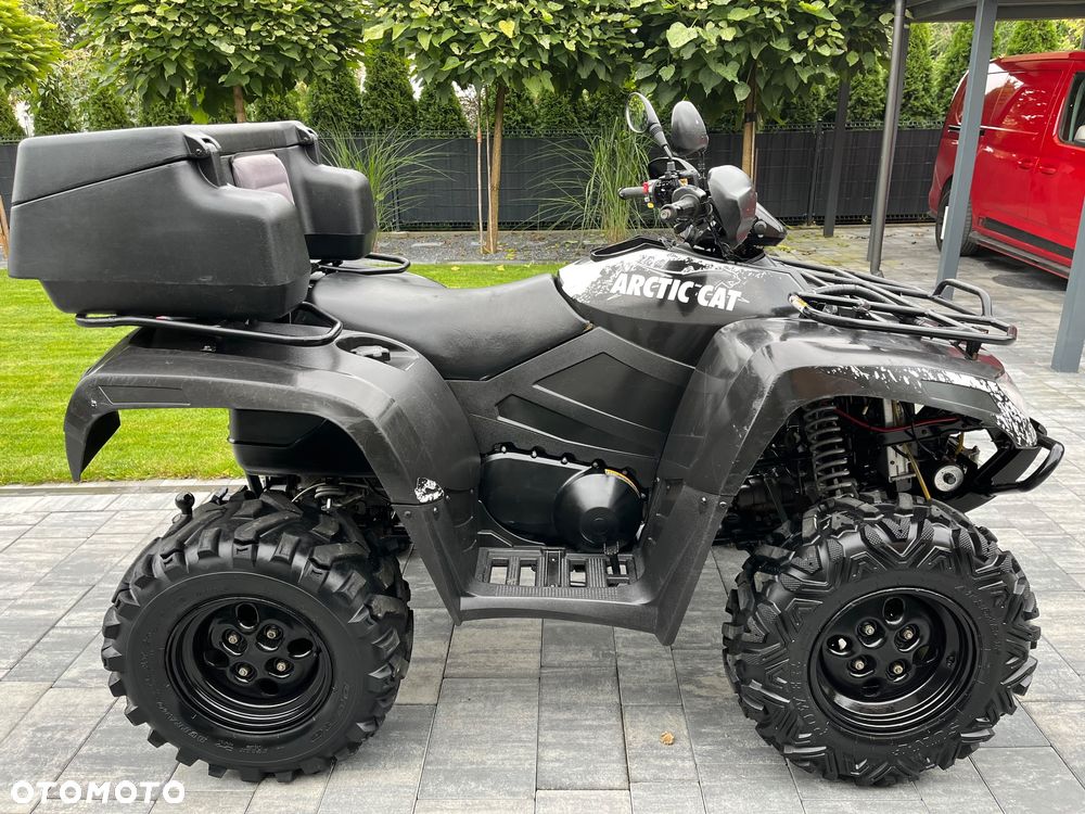 Arctic Cat Inny