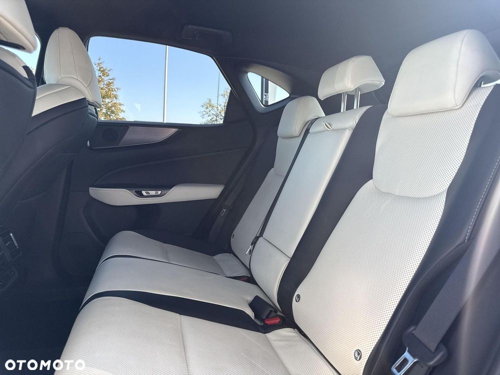 Lexus NX - 20