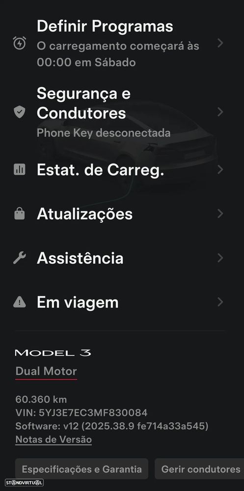 Tesla Model 3 Performance Dual Motor AWD - 19