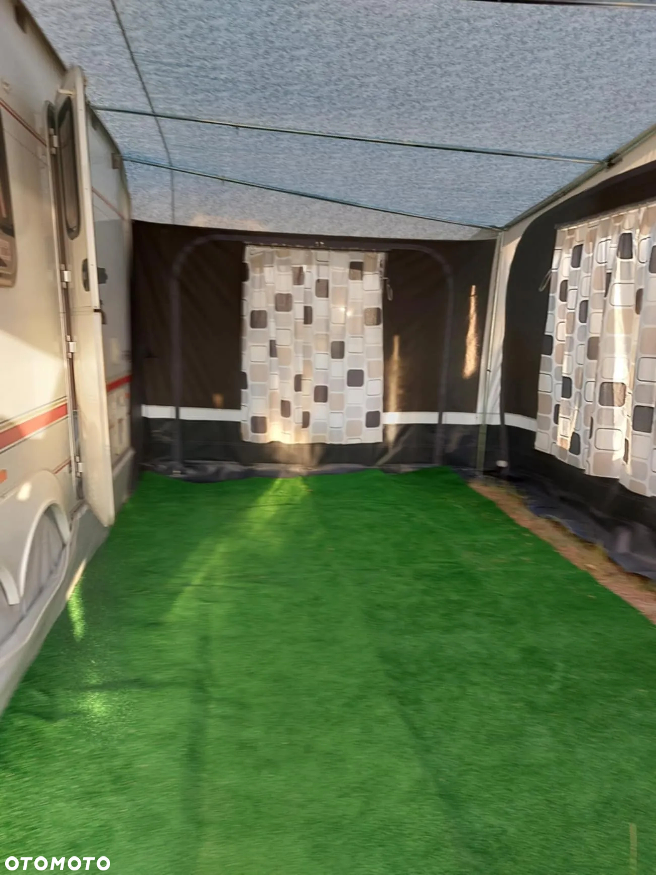 Coachman Amara - 4