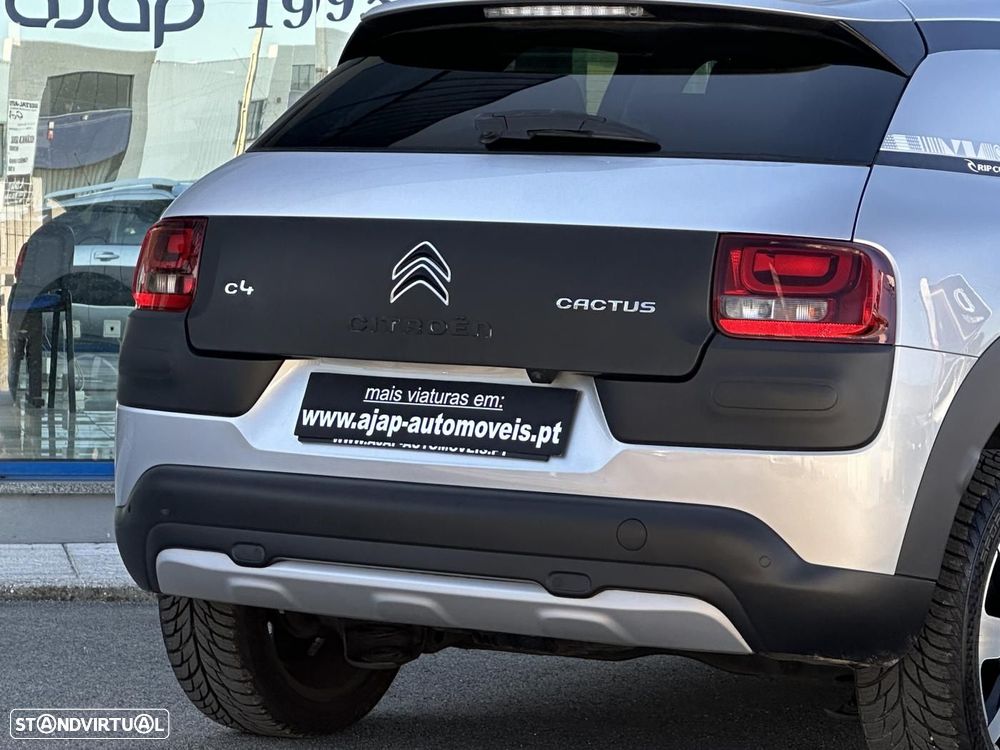 Citroën C4 Cactus 1.6 BlueHDi Rip Curl - 17