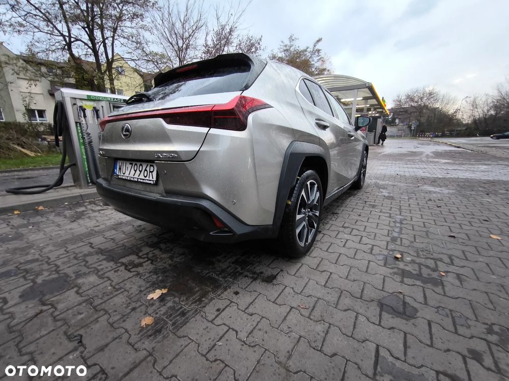 Lexus UX - 10