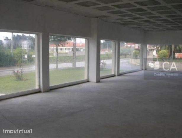 Loja Comercial Oliveira do Bairro - Bustos, Troviscal e Mamarrosa - Grande imagem: 3/11