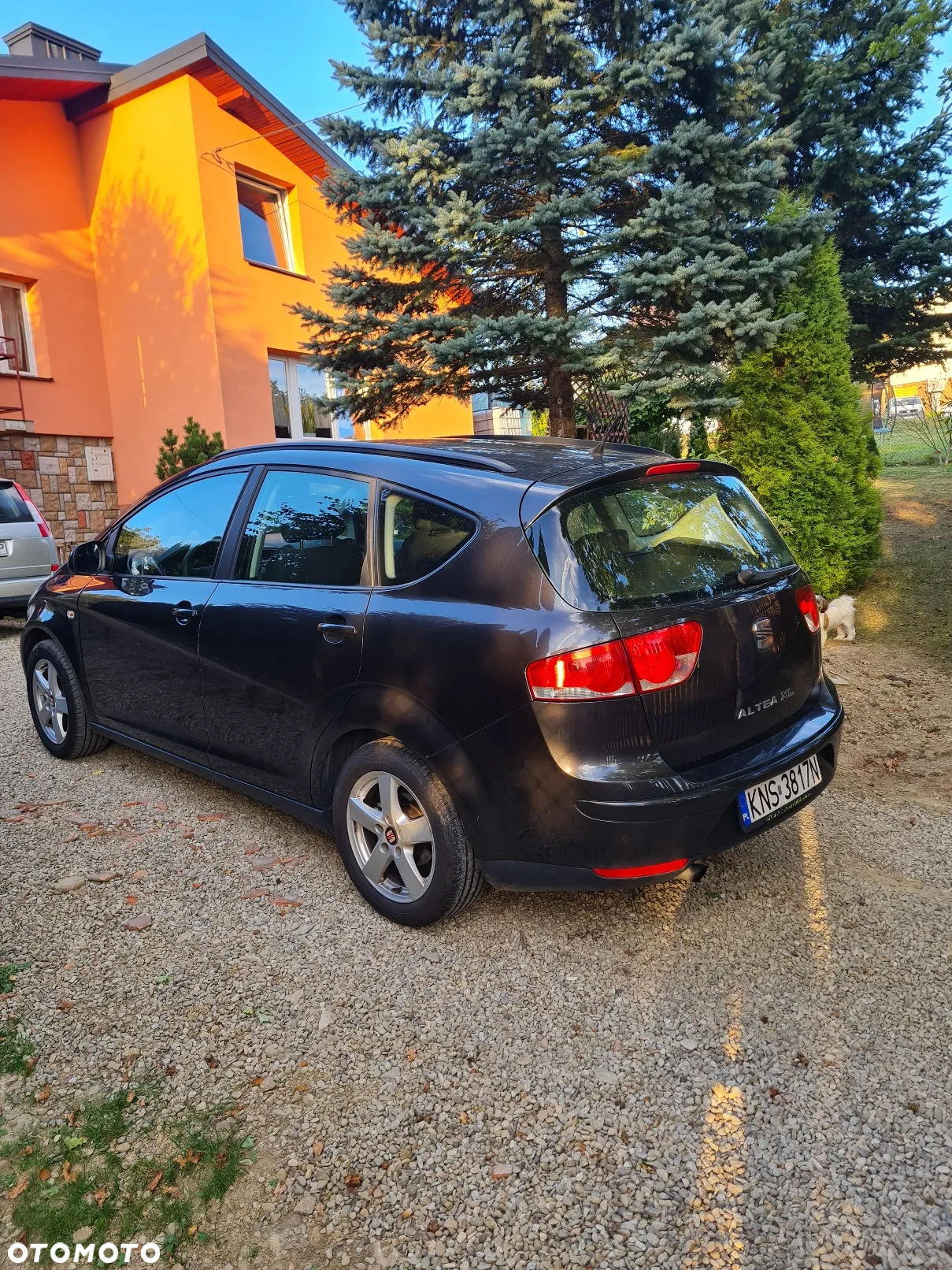 Seat Altea XL - 15