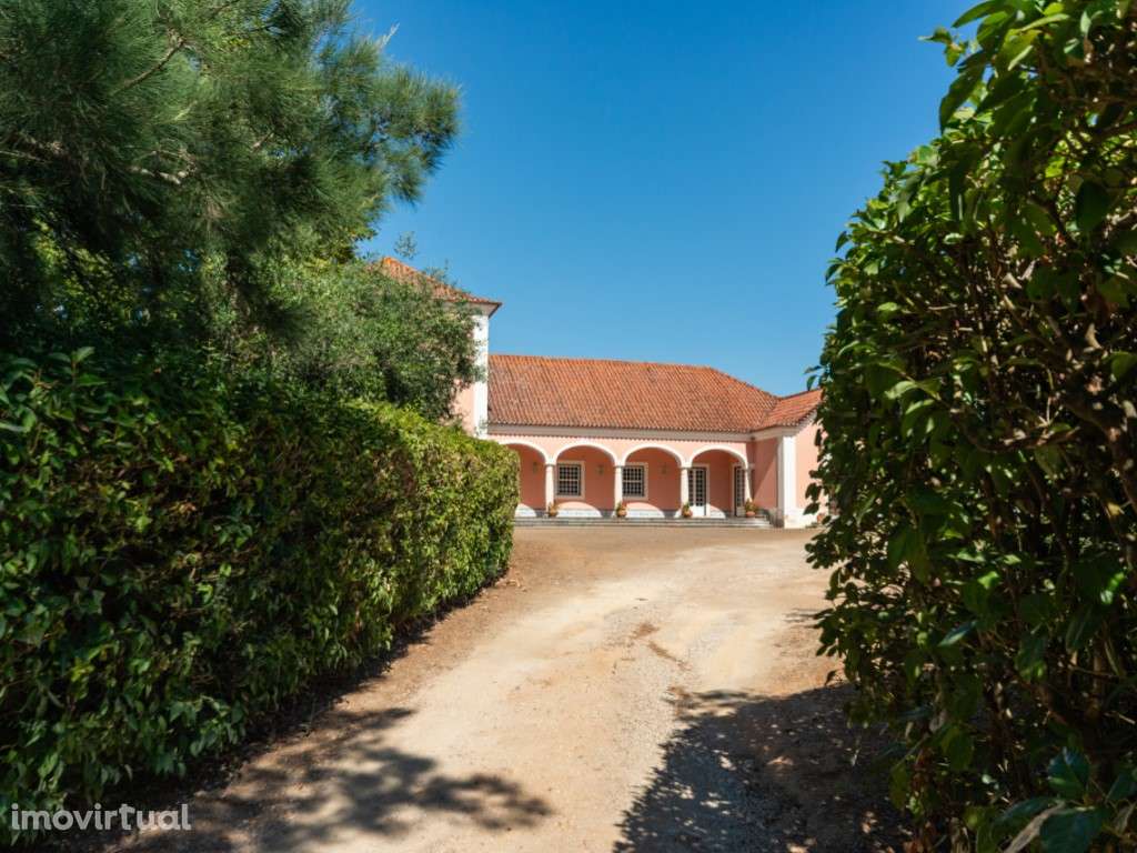 Quinta, Tradição, Natureza e investimento a Menos de 1 Hora de Lisboa - Grande imagem: 4/51