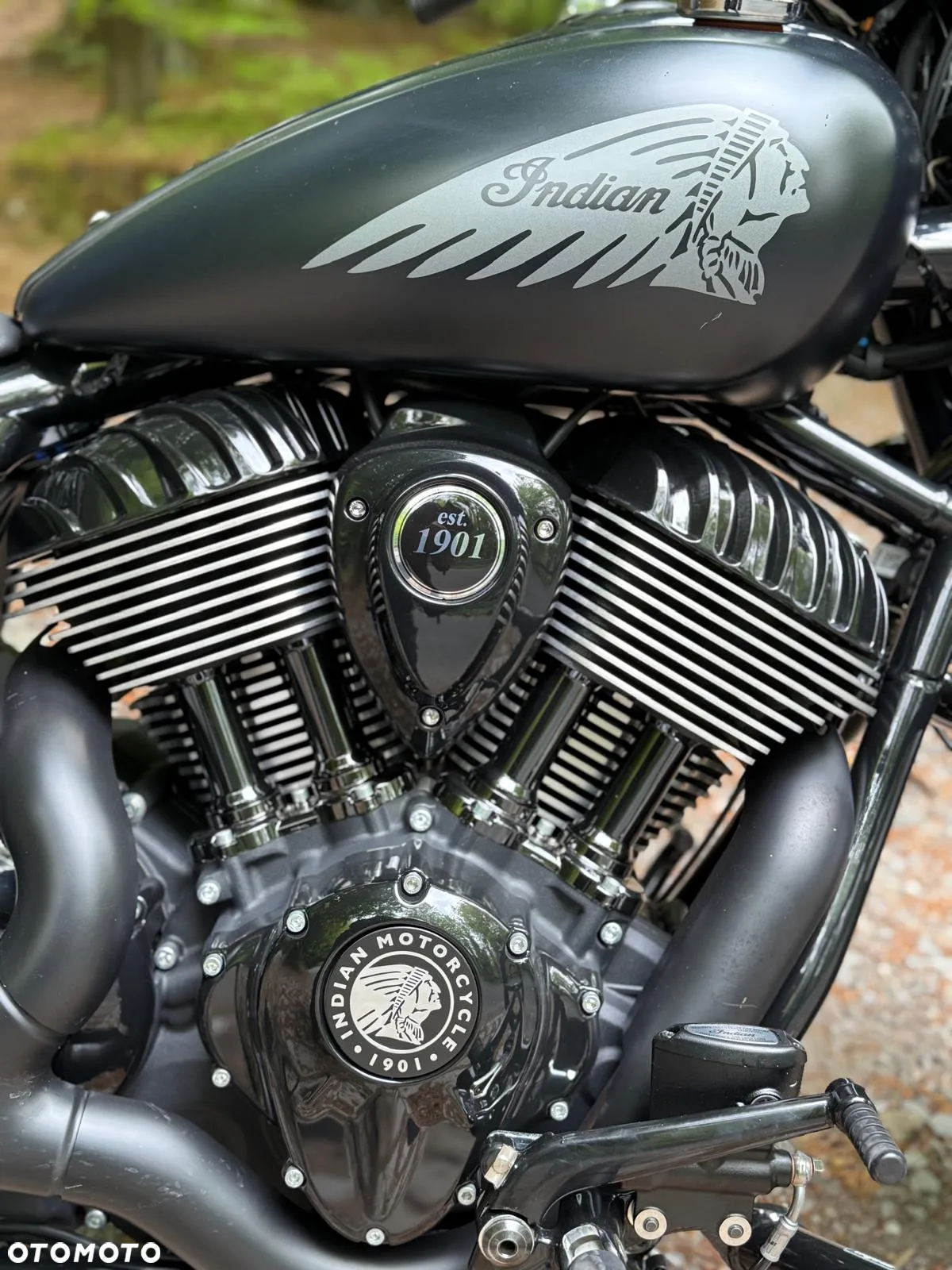 Indian Chief - 16