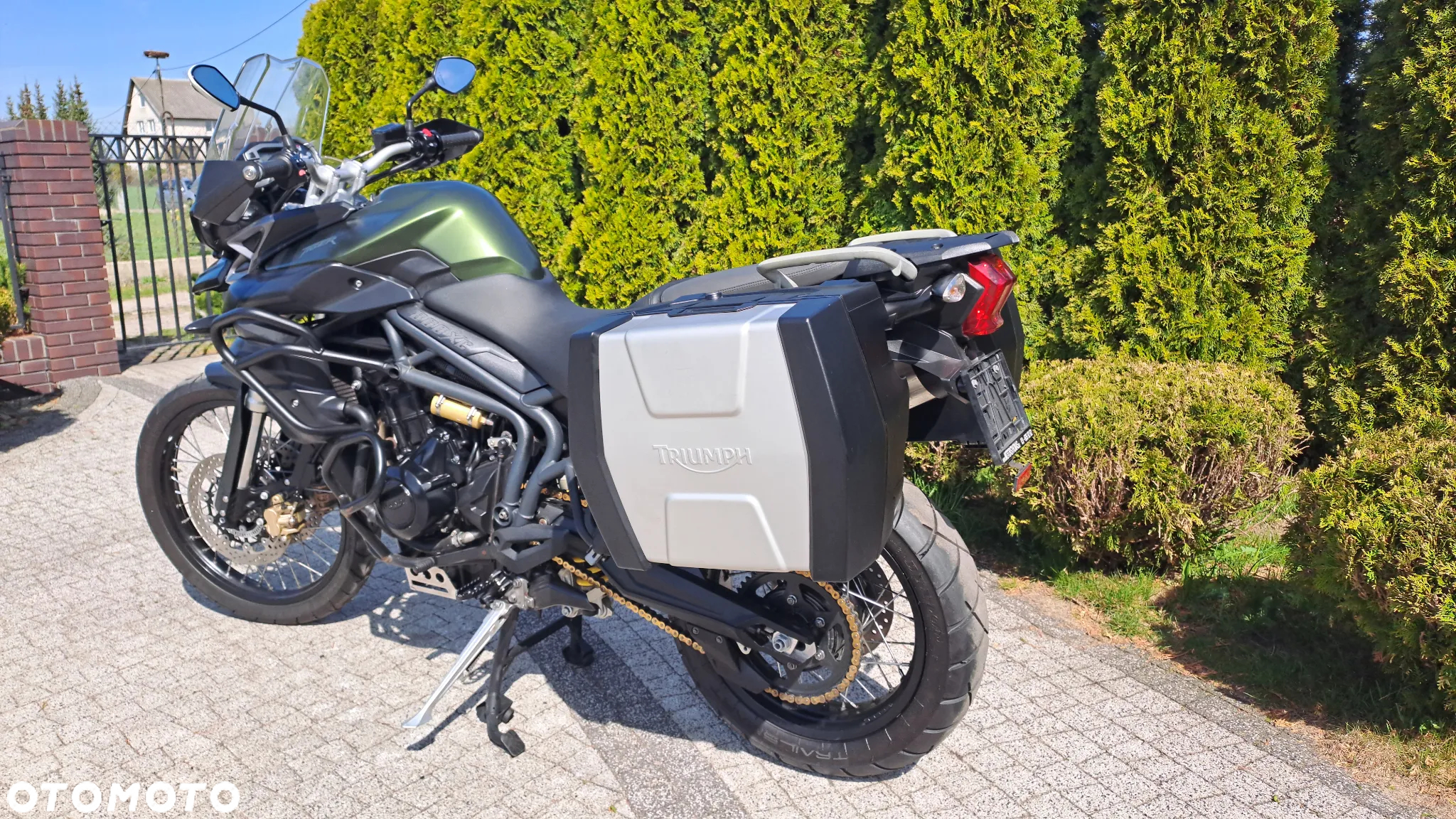 Triumph Tiger - 5