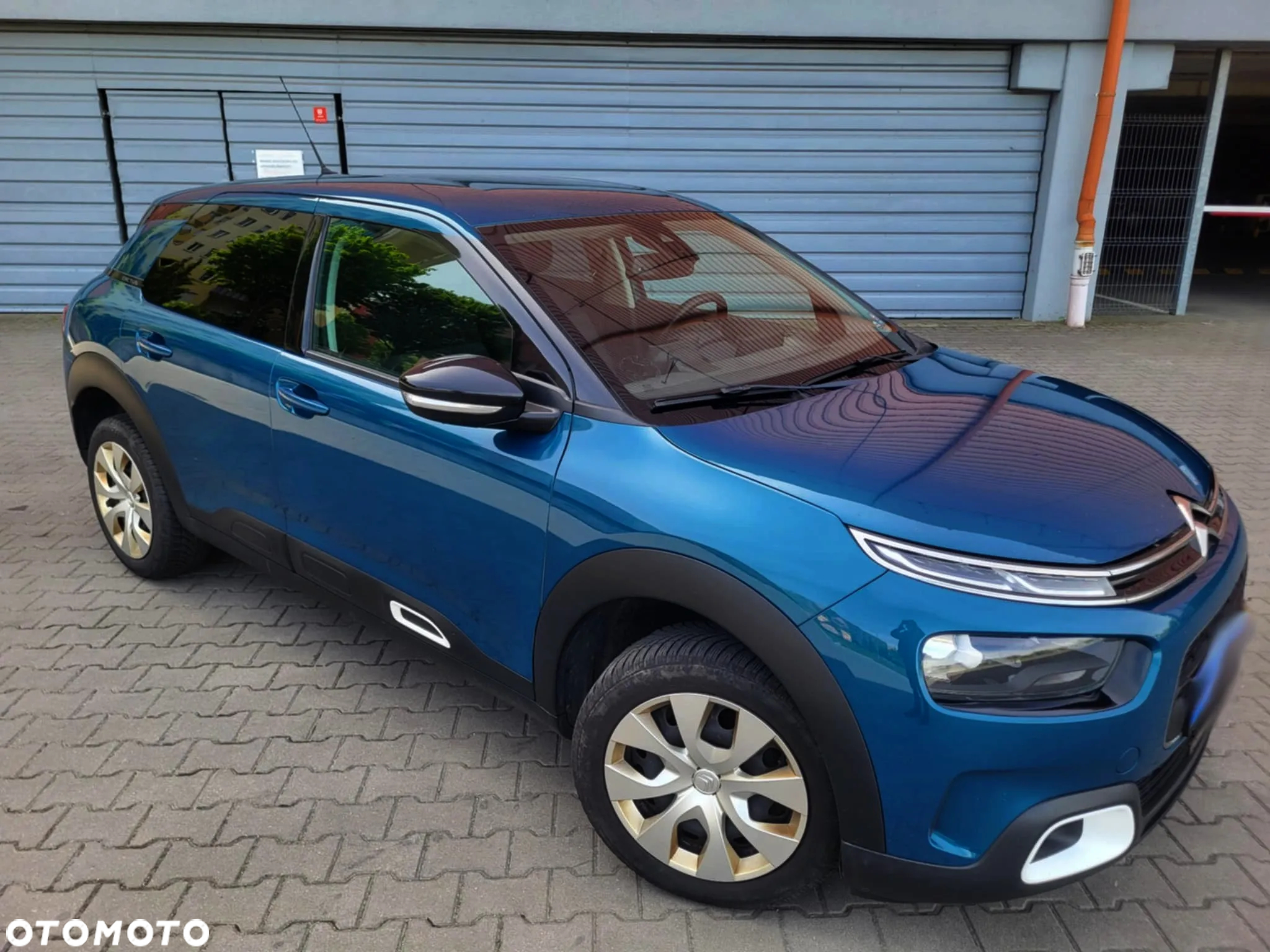 Citroën C4 Cactus 1.6 BlueHDi Live - 13